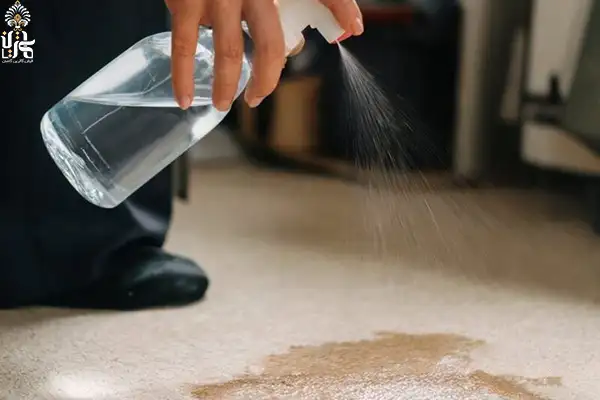baking-soda-handmade-carpets