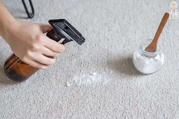removing-carpet-odors-baking-soda